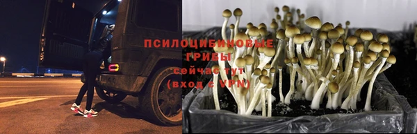 первитин Волоколамск