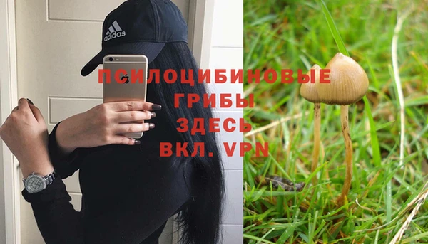 мескалин Володарск